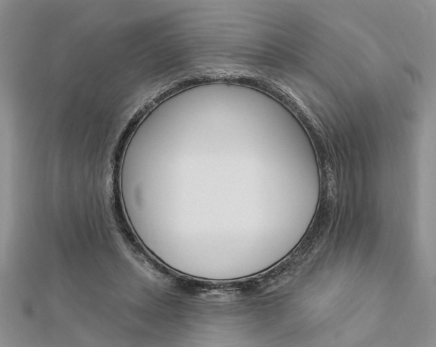 X0000112920447200908241034