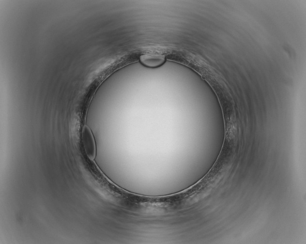 X0000112920448200908241034