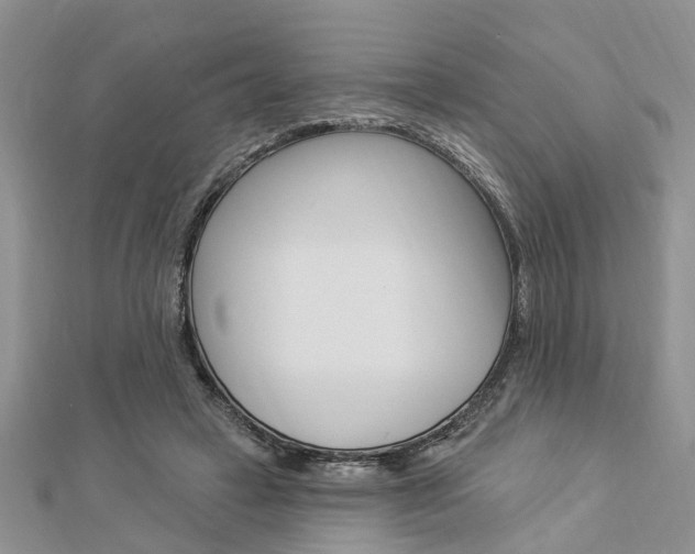 X0000112920449200908241035