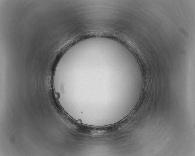 X0000112920450200908241035