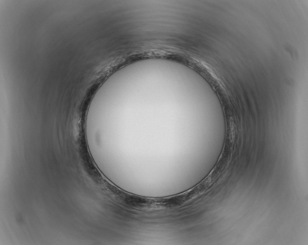 X0000112920451200908241035