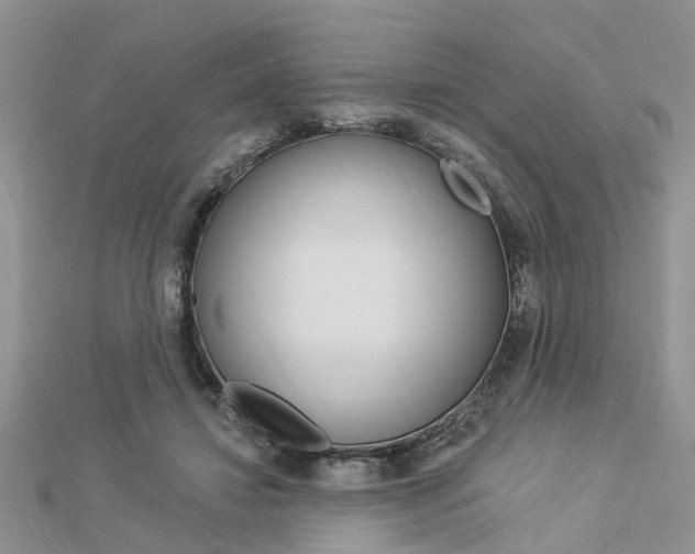 X0000112920452200908241035