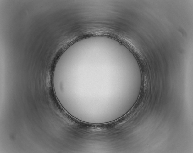 X0000112920453200908241035