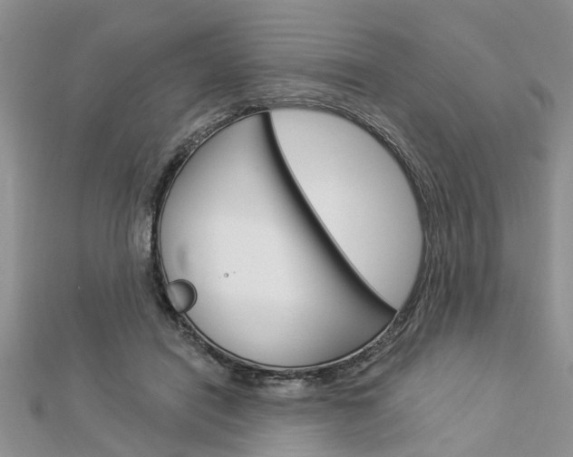 X0000112920454200908241035