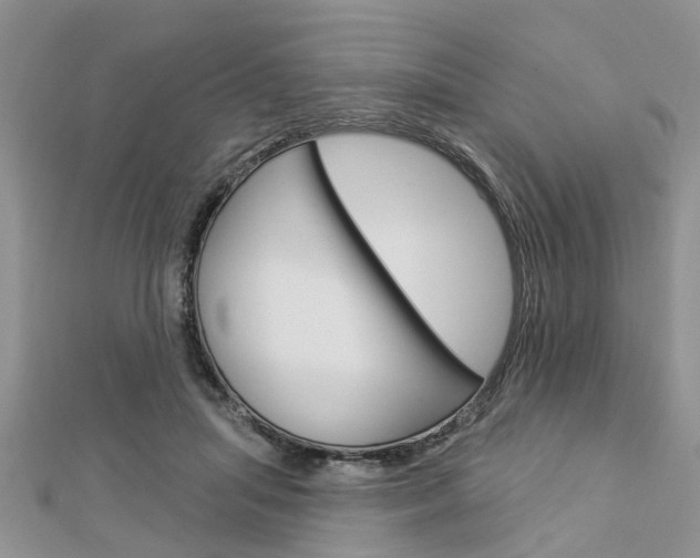 X0000112920455200908241035