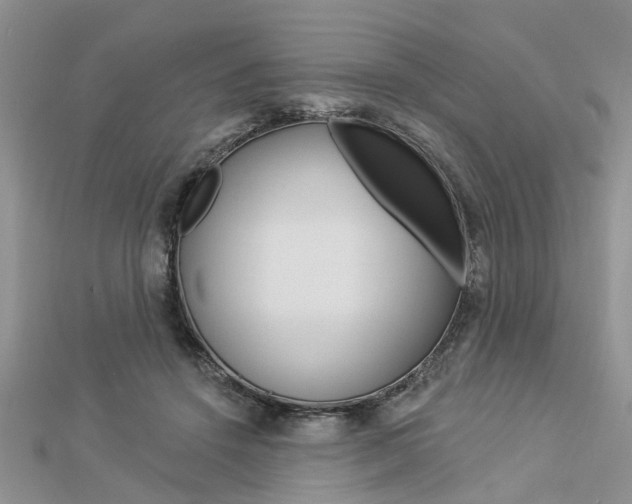 X0000112920456200908241035