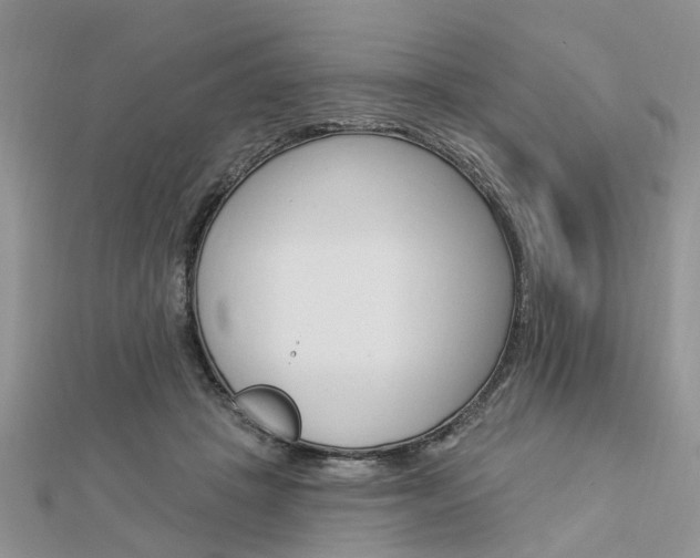 X0000112920457200908241035