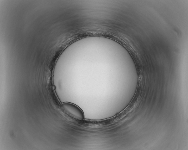 X0000112920458200908241035