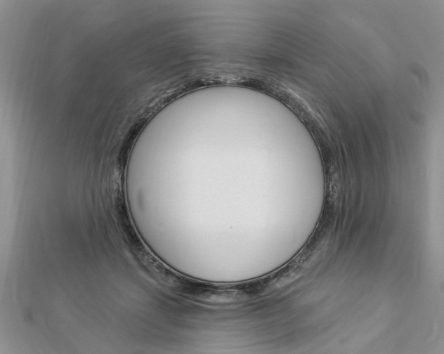X0000112920459200908241035