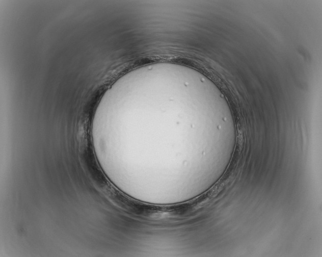 X0000112920460200908241035