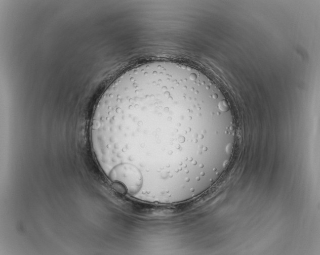 X0000112920462200908241035