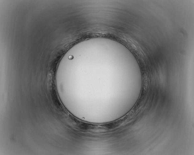 X0000112920463200908241035
