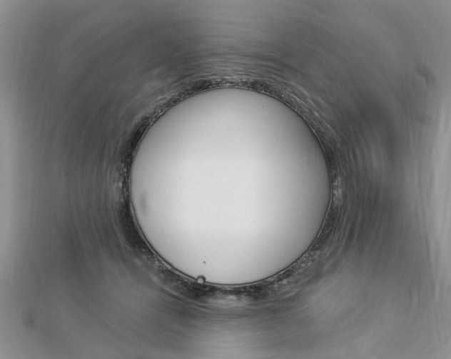 X0000112920464200908241035