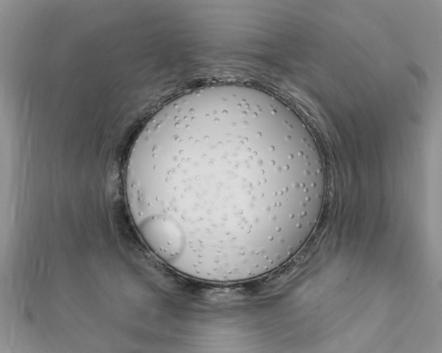X0000112920465200908241035