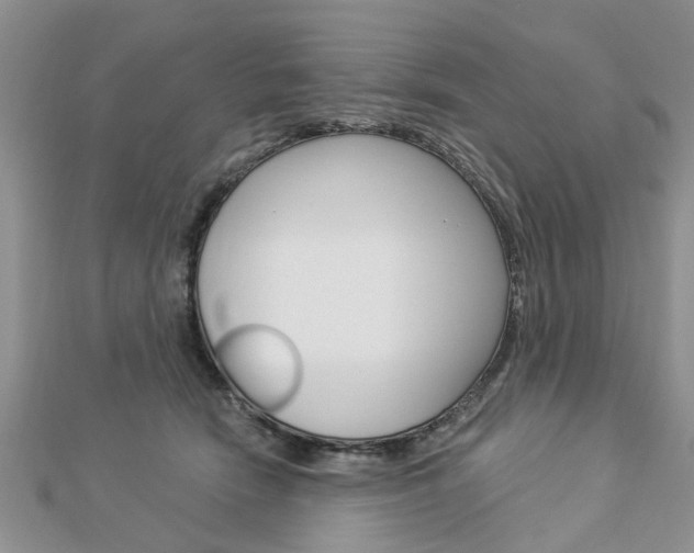 X0000112920466200908241035