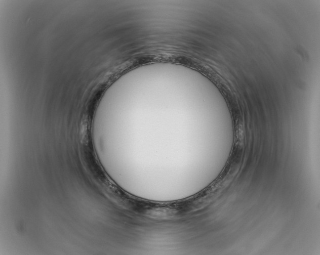 X0000112920468200908241035