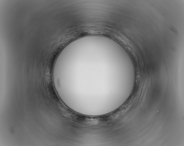 X0000112920469200908241035