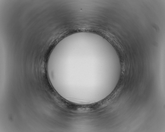 X0000112920470200908241035