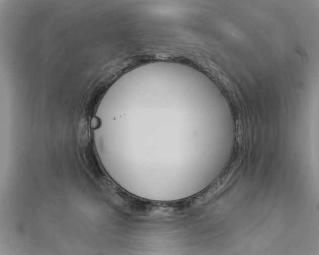 X0000112920471200908241035