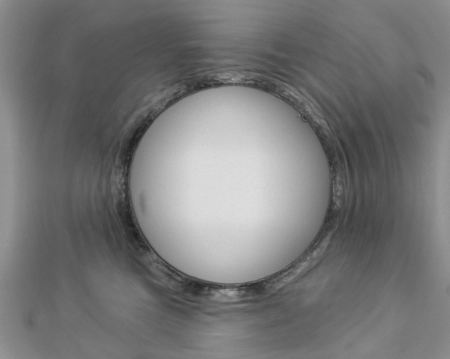 X0000112920473200908241035