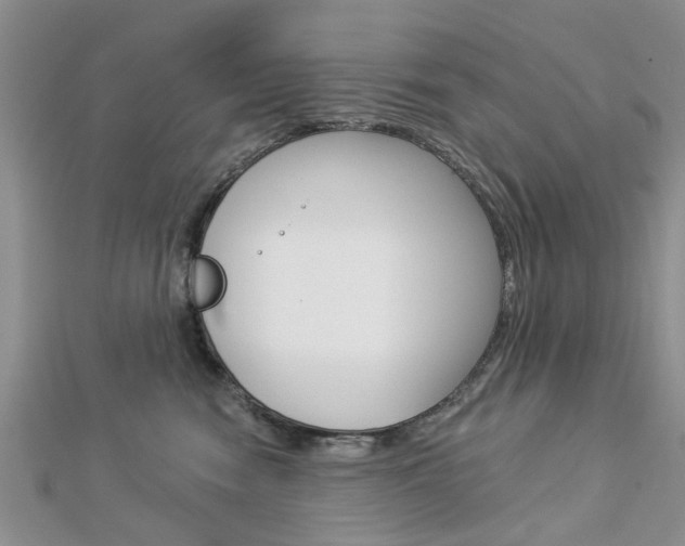 X0000112920474200908241035