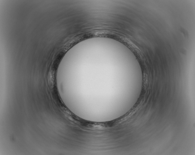 X0000112920475200908241035