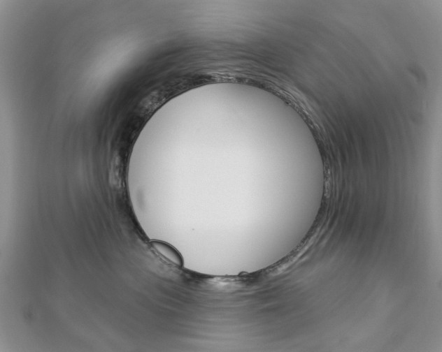 X0000112920477200908241035