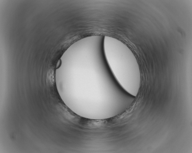 X0000112920479200908241035