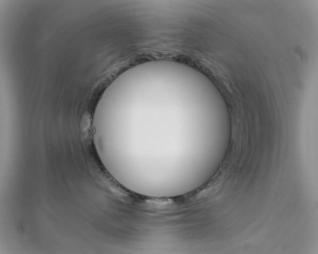 X0000112920480200908241035
