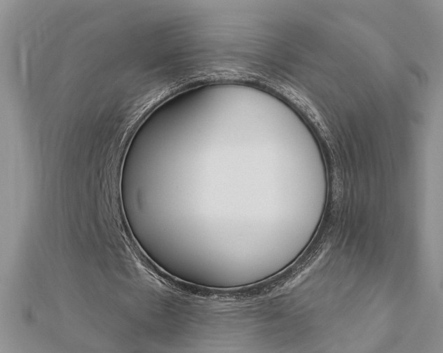X0000112920481200908241034