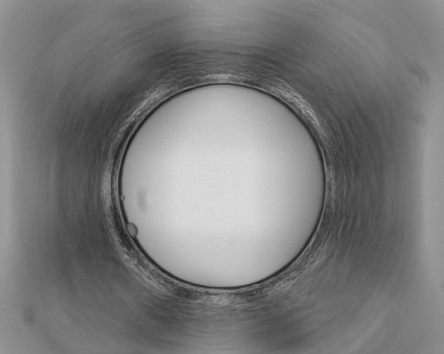 X0000112920482200908241034