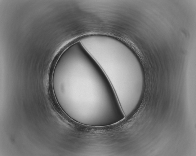 X0000112920484200908241034