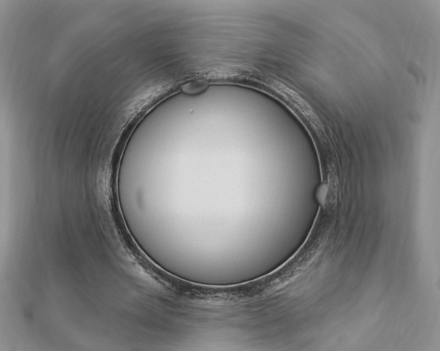 X0000112920485200908241034
