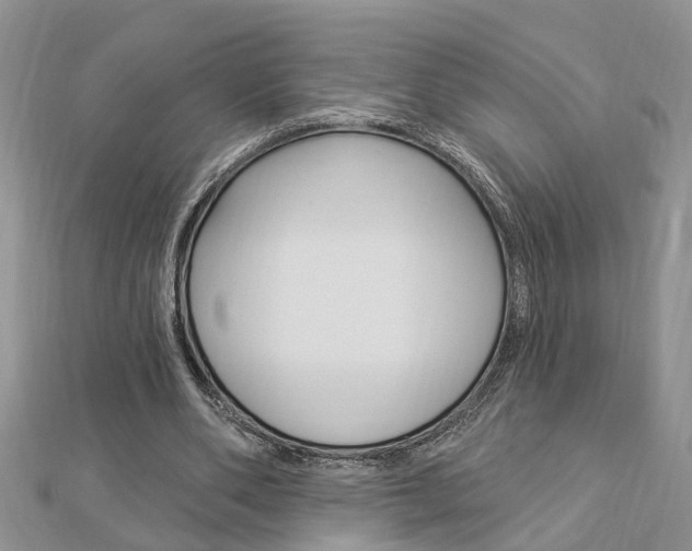 X0000112920486200908241034