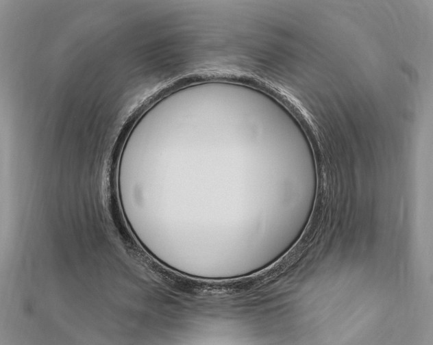 X0000112920487200908241034