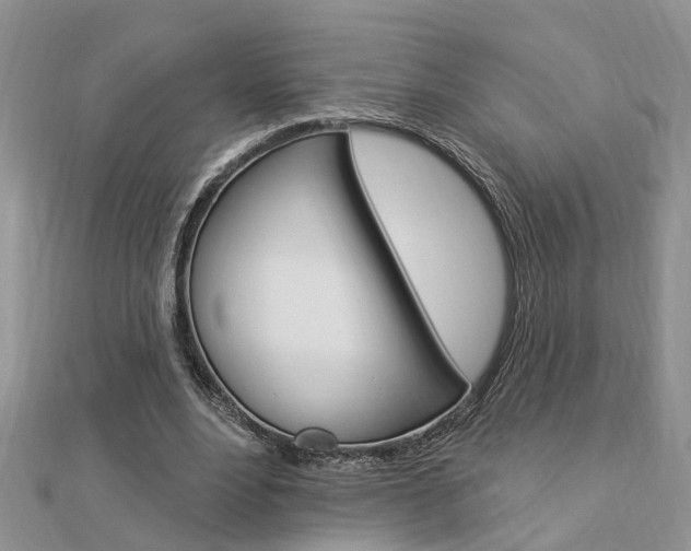 X0000112920488200908241034