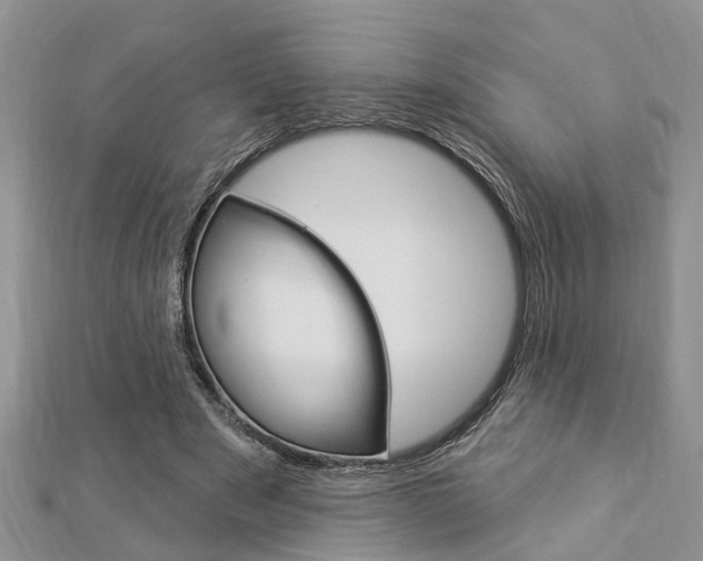 X0000112920489200908241034