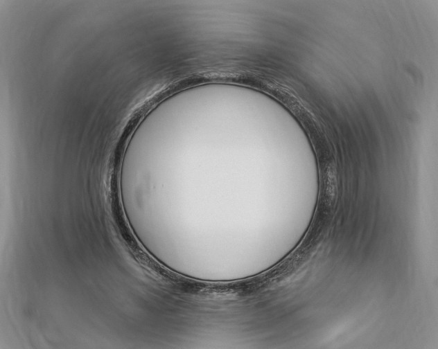 X0000112920491200908241034