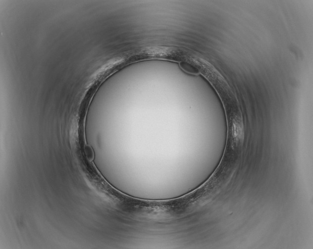 X0000112920492200908241034
