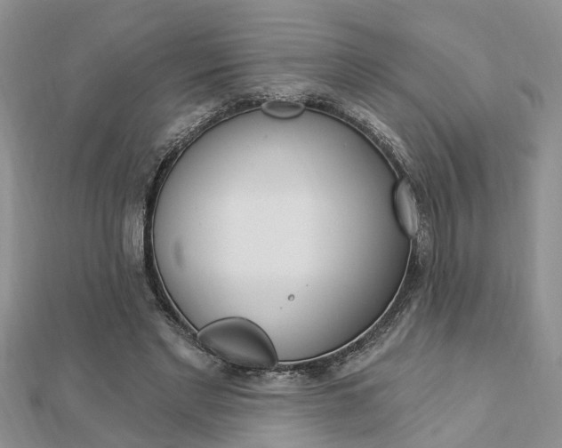 X0000112920493200908241034