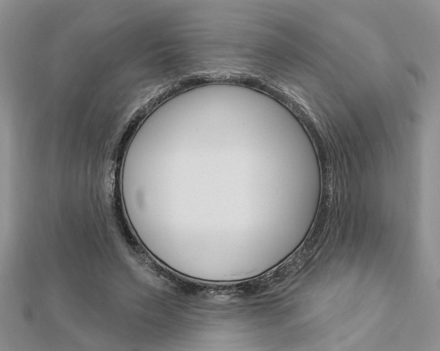 X0000112920495200908241034