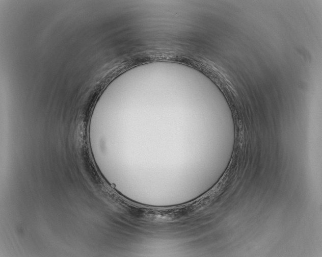 X0000112920498200908241034
