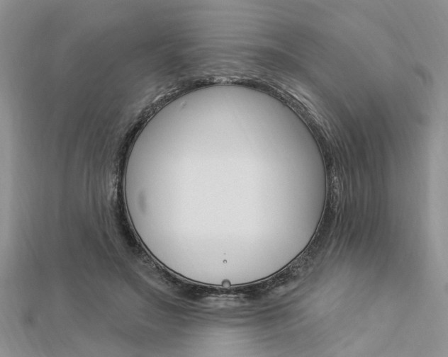 X0000112920499200908241034