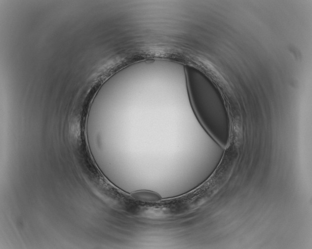 X0000112920500200908241034