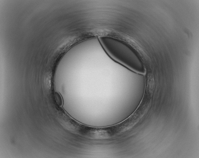 X0000112920501200908241034