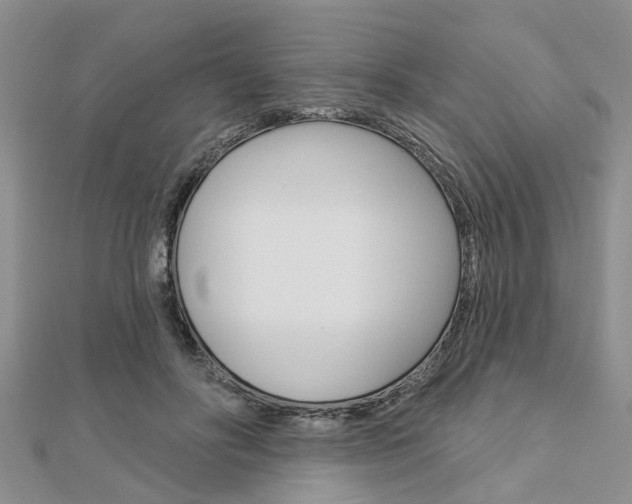 X0000112920502200908241034