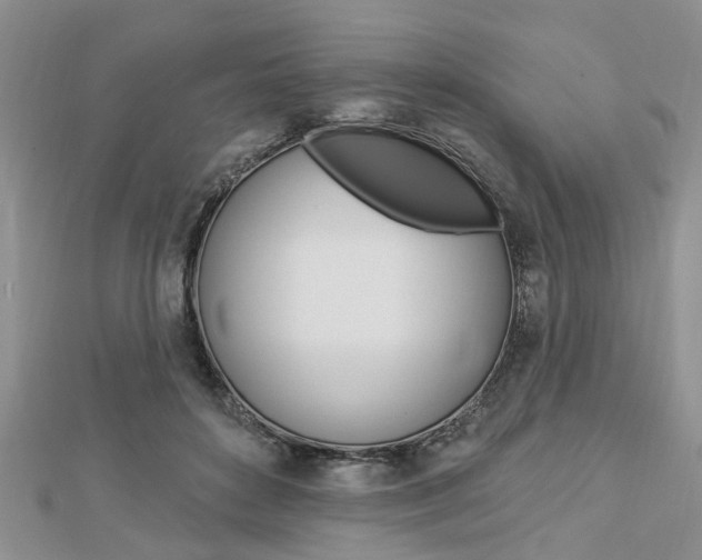 X0000112920504200908241034