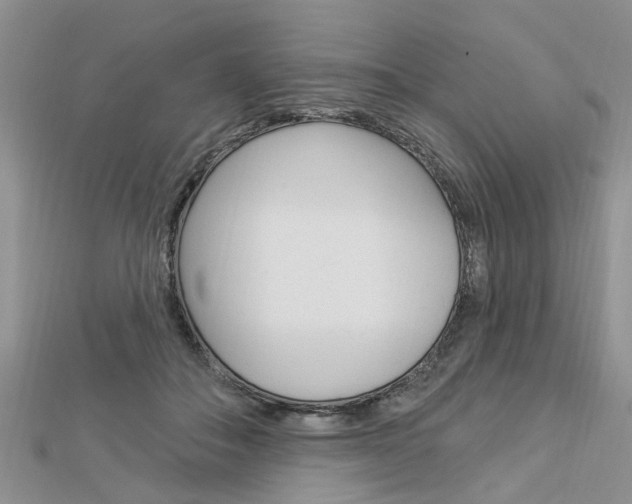 X0000112920506200908241034