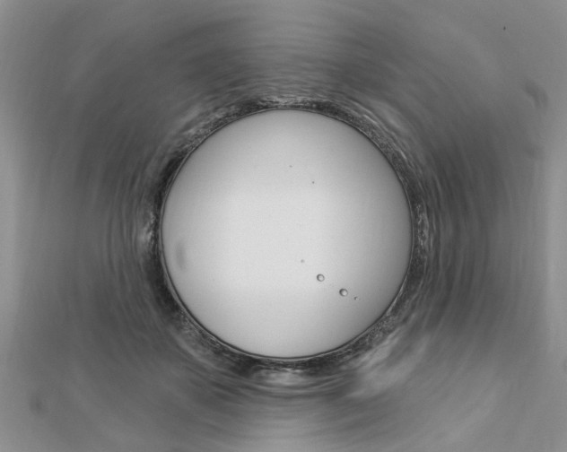 X0000112920507200908241034