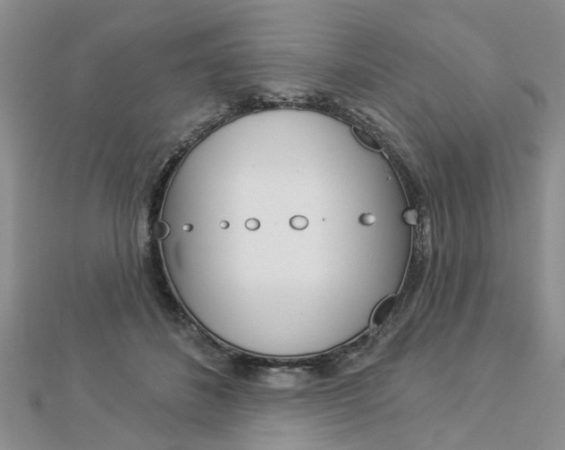 X0000112920508200908241034